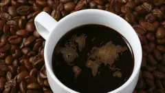 Çekirdek Kahve Maliyetleri Arttı Starbucks Kahve Dünyası Yeni Zam Yapabilir!  - Gönül Yolu