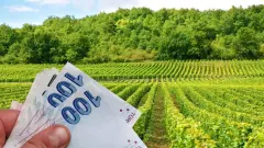 Çiftçiye Dekar Başına 310 TL Nakit Veriliyor: Mazotun %50'si Devletten Hediye! - Gönül Yolu